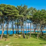 Célébration de la Journée de la biodiversité à Santander: bains forestiers, ateliers et observation d'avifaune