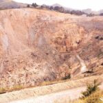 Comment récupérer les sols contaminés des mines abandonnées à l'aide d'une flore très adaptée?