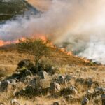 Contrôle des satellites et de l'IA pour vérifier les incendies et éviter les incendies en Andalousie