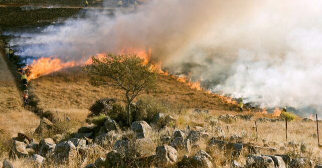 Control Satelital cortafuegos evitar incendios Andalucía