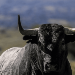 Corrida pour les enfants non et moins pendant les heures d'école