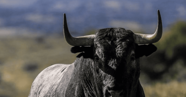 Tauromaquia niños horario escolar