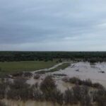 Doñana: La 2ème phase de récupération du parti EL commence