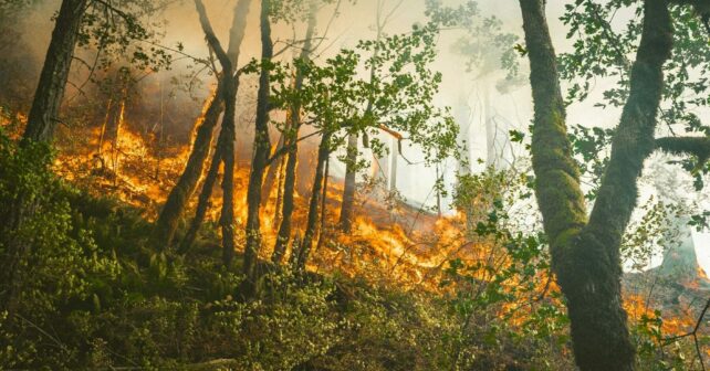 España incendios forestales