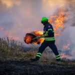 En dessous de la moyenne, par rapport aux 20 dernières années, l'activité des incendies de forêt dans le monde
