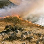 Extremradura et Castilla-La Mancha, ensemble dans leur lutte contre les incendies de forêt
