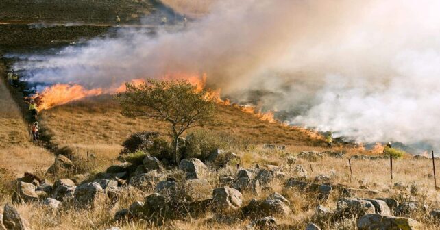 incendios forestales