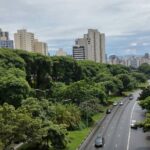 Fondation de la biodiversité: aide à la «renaturalisation» des villes