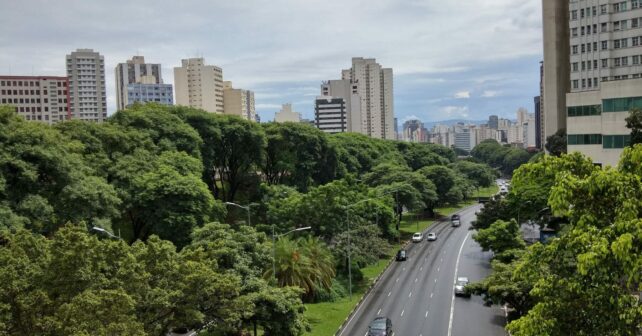 Fundación Biodiversidad ciudades