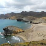 Fondation de la biodiversité: naviguer dans la valeur écologique des espaces marins protégés