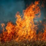 Huércal de Almería: Contrôlez enfin le «feu de la forêt»