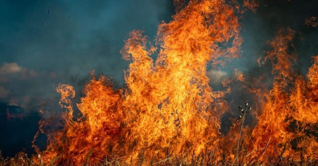 Huércal de Almería incendio forestal