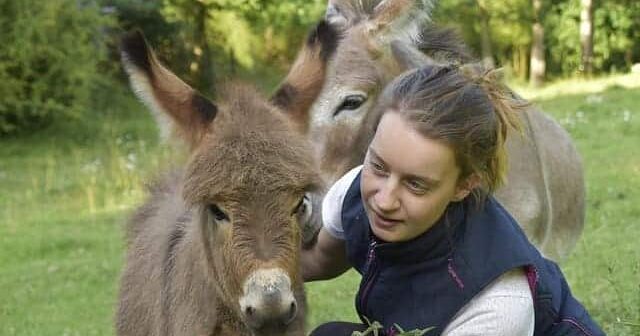 Día Mundial Burro 2025