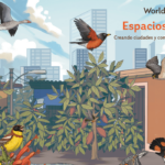 Journée mondiale des oiseaux migrateurs 2025