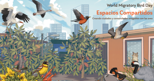 Día Mundial Aves Migratorias 2025