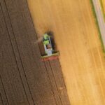 L'aide agricole, les combustibles fossiles, la pêche et l'exploitation minière sont une réelle menace pour la biodiversité de la planète