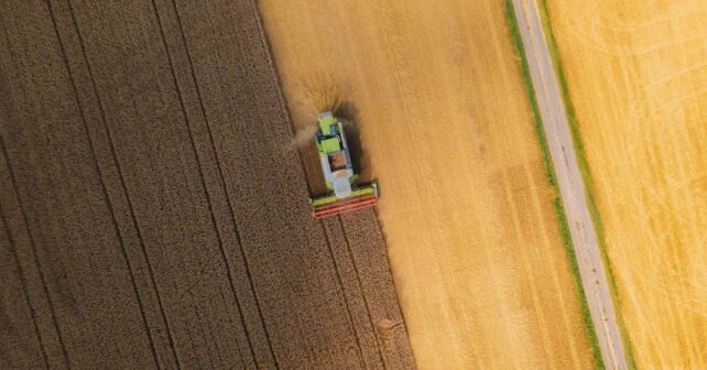 Las ayudas a la agricultura, los combustibles fósiles, la pesca y la minería suponen una amenaza real para la biodiversidad del Planeta