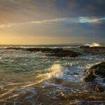 La Catalogne a sa première carte d'habitat des fonds marins