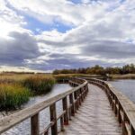 La nécessité d'élargir le parc national des tables Daimiels, à Ciudad Real