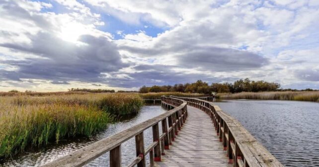 Tablas de Daimiel