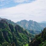 La réciprocité entre les humains et la nature a un impact sur la durabilité et la protection sociale