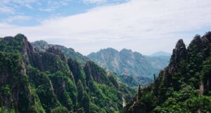 La reciprocidad entre humanos y naturaleza impacta en la sostenibilidad