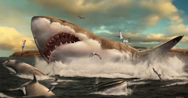 megalodón tiburón gigante