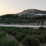 Le pont Jontoya estírplanta (Jaén) est un scandale et pourrait être sanctionné