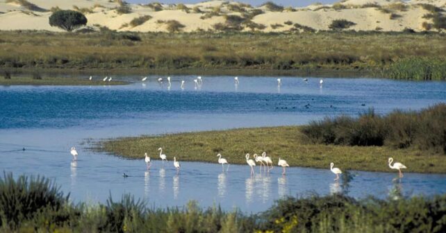 Andalucia humedales