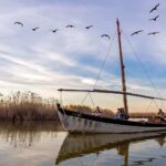 Les écologistes dénoncent que l'Albufera de Valencia est «encore» d'obtenir un état écologique favorable