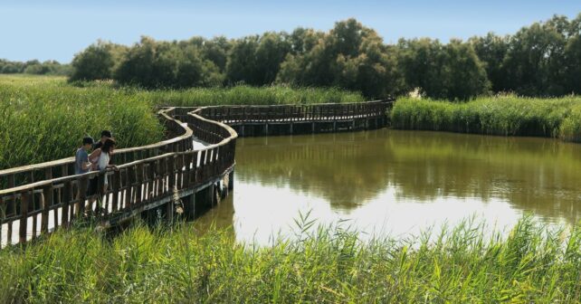 lluvias Parque Tablas Daimiel