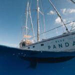 Life Ecorest: The Saiboat Blue Panda surca Les eaux de la Costa Brava cherchant à protéger les écosystèmes marins