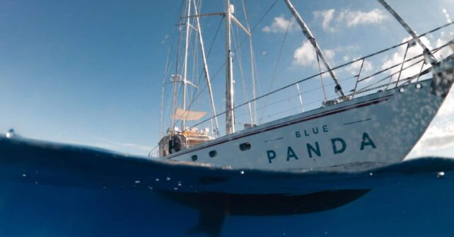 Life Ecorest Blue Panda