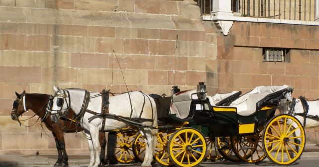 Málaga coches caballos