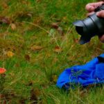 Mycotourisme: une façon unique de connaître l'environnement rural