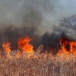 Plus efficace et plus de technologie: l'engagement de l'Andalousie à lutter contre les incendies maintenant que l'été approche