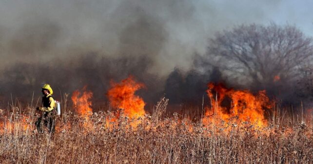 Andalucía para luchar contra los incendios
