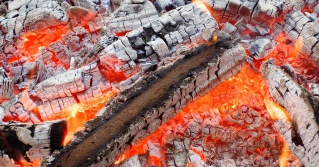 finales de siglo en la UE habrá más incendios forestales