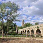 Salamanca plantera plus de 30000 arbres pour être une «ville verte»