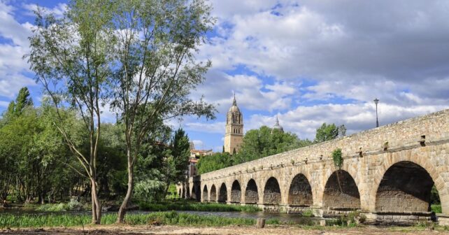 salamanca arboles ciudad verde