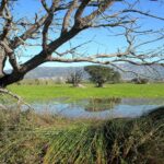Se battre pour Empordá: écologistes, agriculteurs et tourisme rural contre l'énergie et les projets urbains