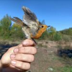 Semaine de la biodiversité à Santander