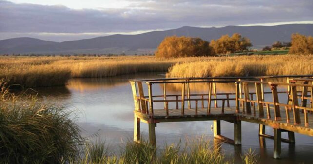 Tablas de Daimiel: un informe alerta del deterioro del humedal y plantea medidas de recuperación