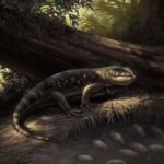 'Bolg Amondol', le lézard Monstersauro qui vivait avec des dinosaures