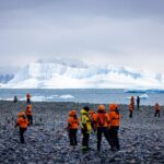 Antarctique:, la pollution sonore provoque un stress chez les animaux