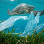 António Guterres exige la fin du « pillage systématique » des océans au sommet des Nations Unies en Nice (France)
