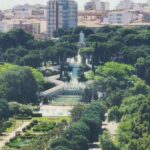 Arboricide dans le centre de Zaragoza