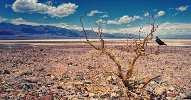 Orr Desertificación ONU atajar degradación