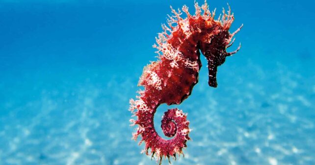 UE lanza un llamamiento para cumplir la parte que nos toca en el cuidado del mar y los océanos