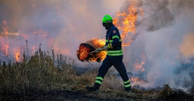 España incendios forestales 2025
